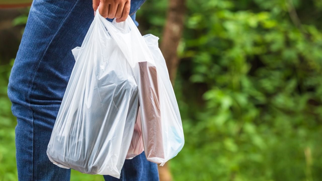 Person carrying plastic bag