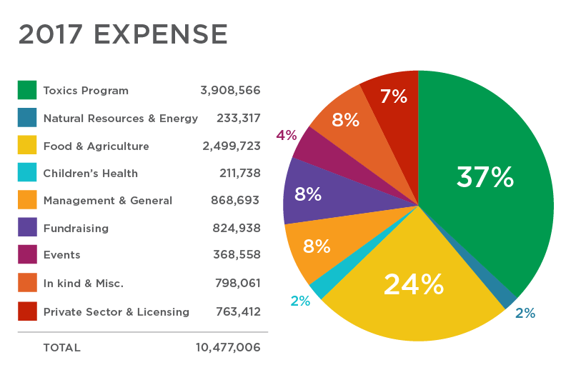 pie chart of expenses