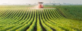 New study finds alarming rise in persistent ‘forever chemicals’ in pesticides  