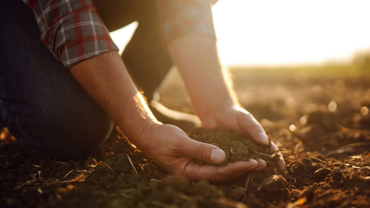 Farmer holding soil