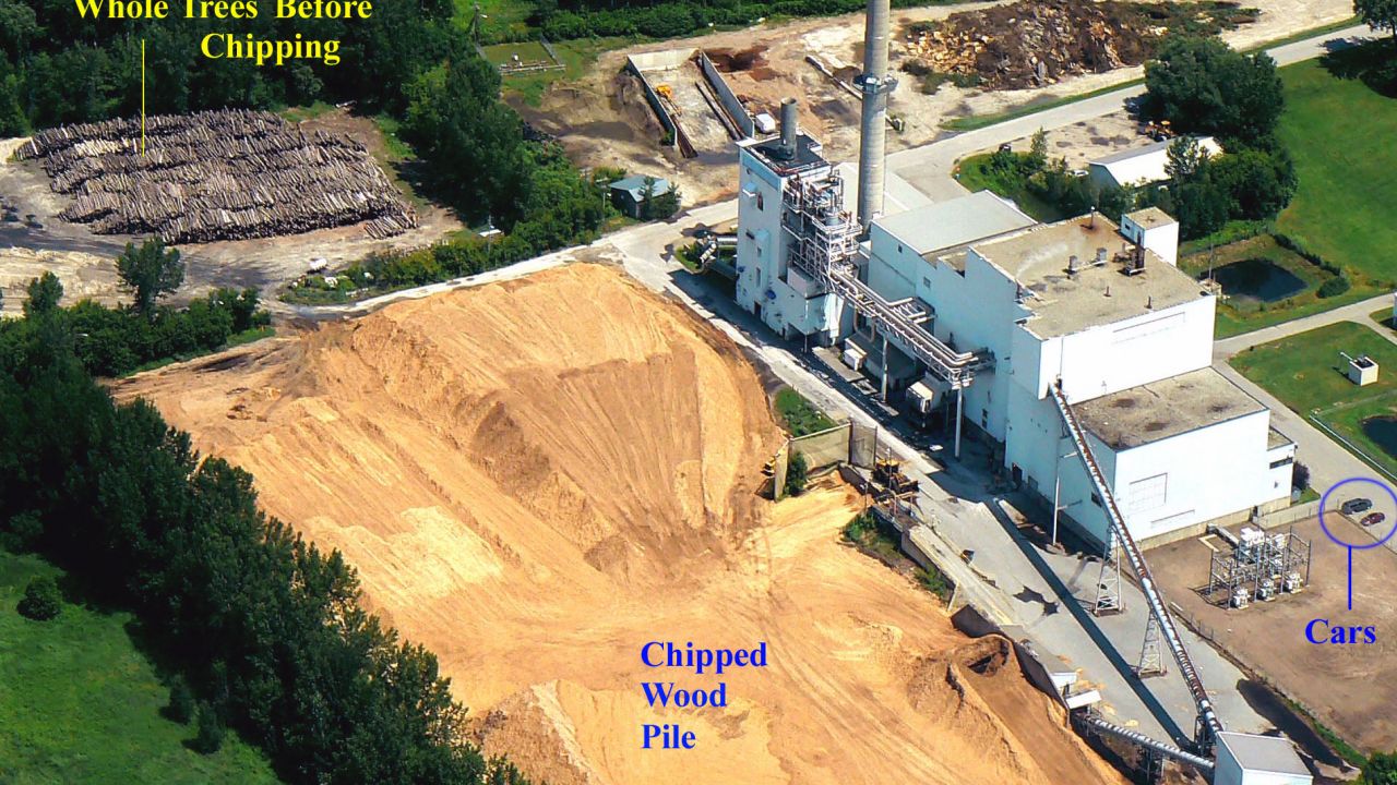how biomass power plant works