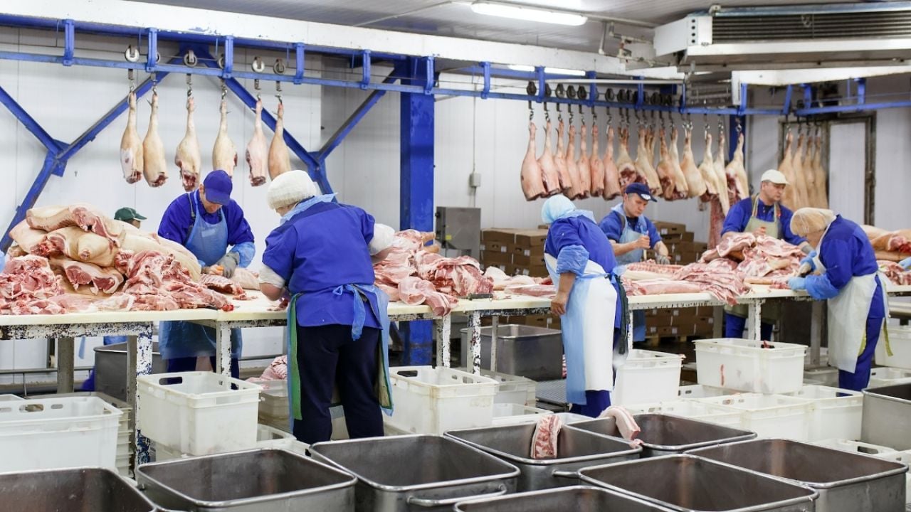 meat packing industry